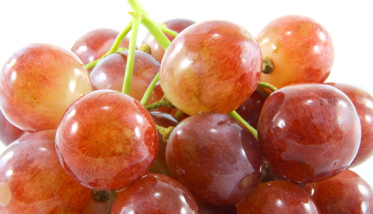 Health Benefits of Grapes