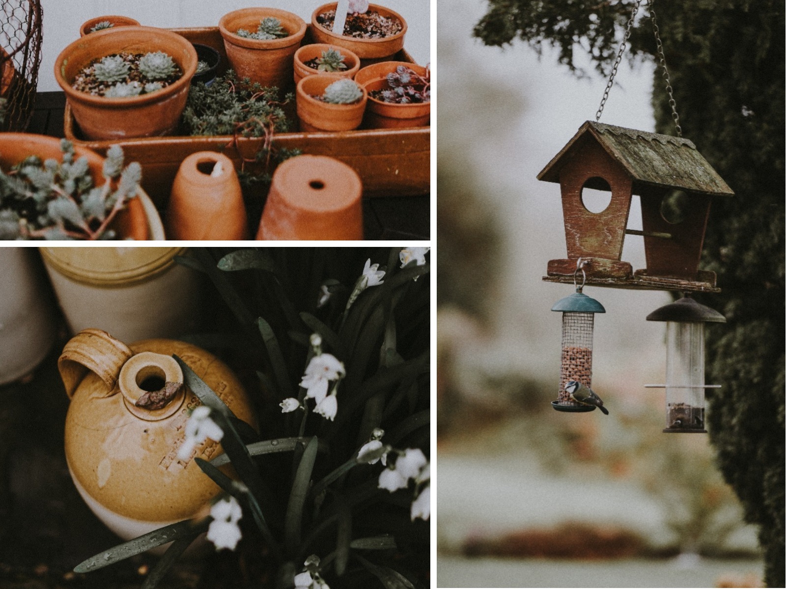 Finding the Garden Flow in 2018