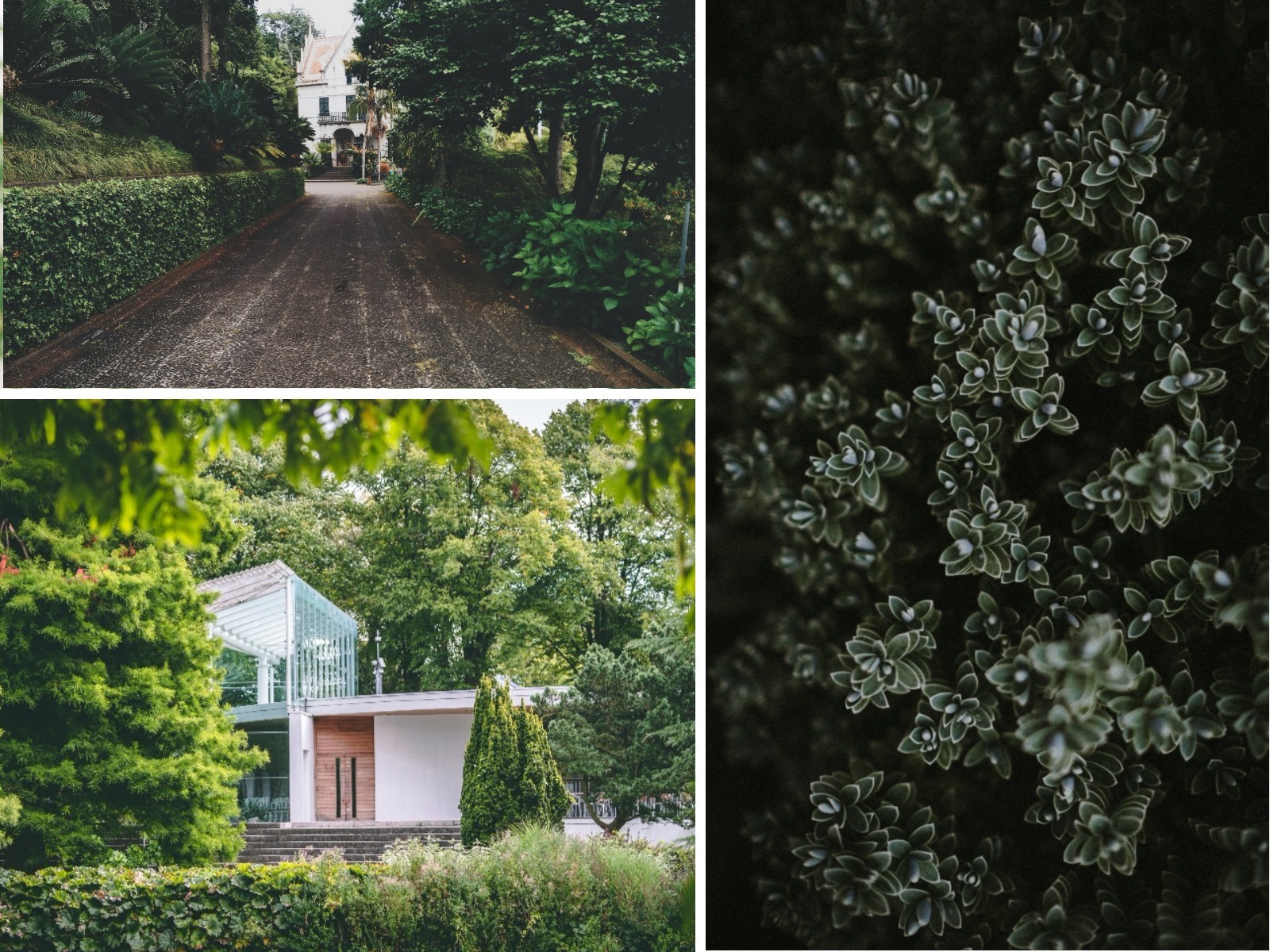 Finding the Garden Flow in 2018