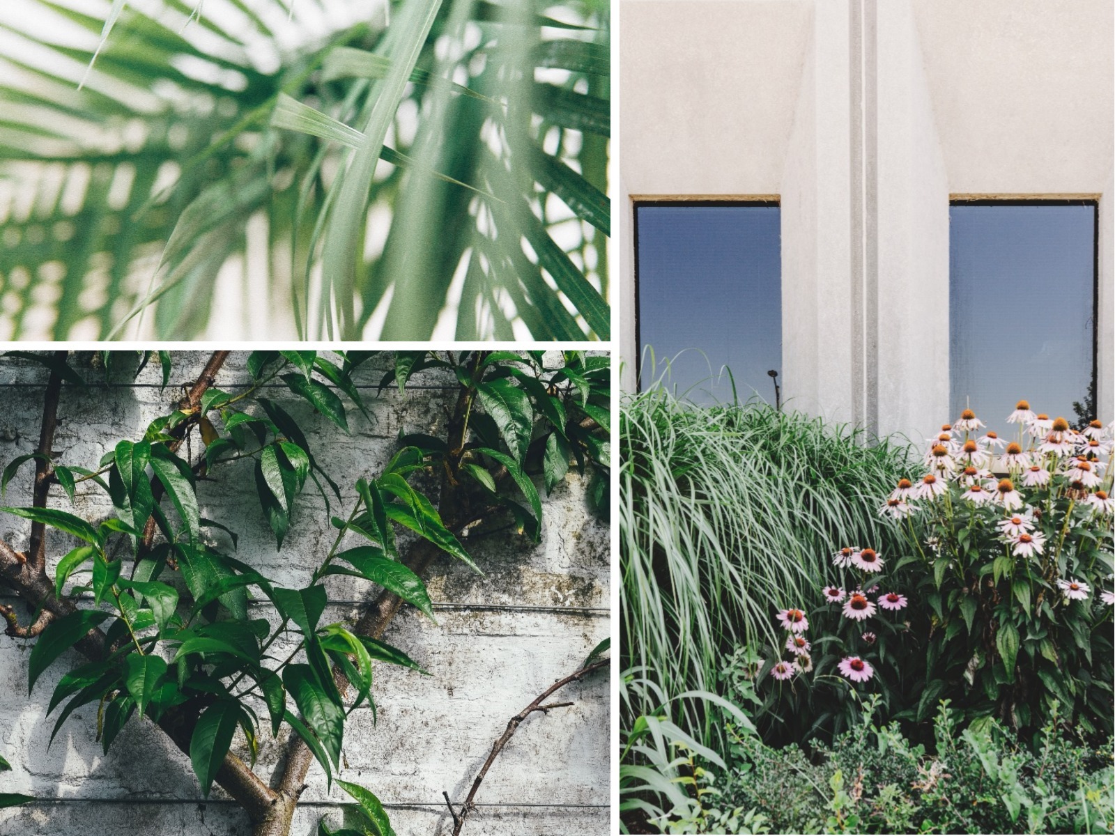 Finding the Garden Flow in 2018