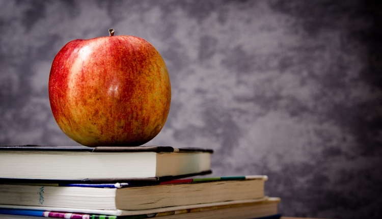 Why An Education Abroad Can Benefit A Future Career