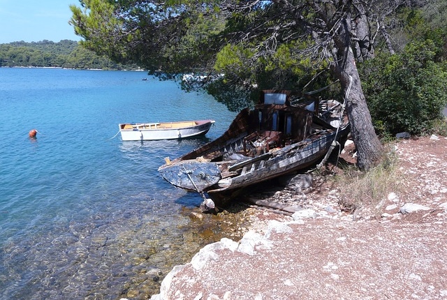 Mljet