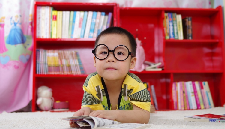 adorable-blur-bookcase-261895
