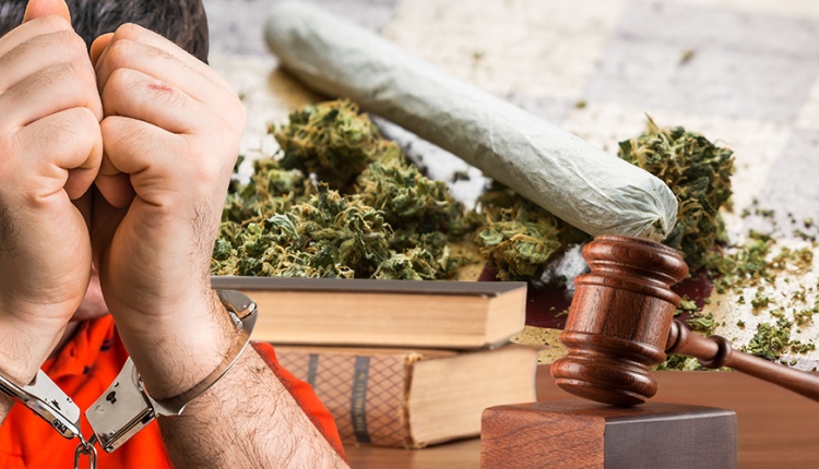 How Can A Marijuana Lawyer Help A Defendant