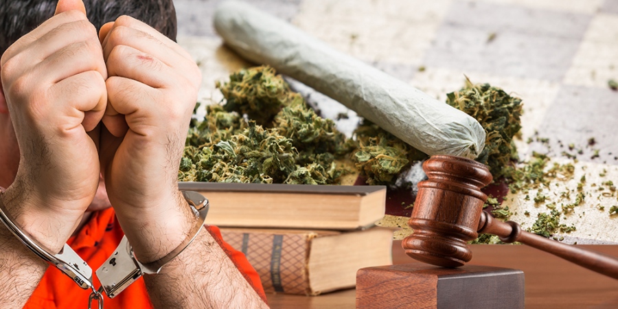 How Can A Marijuana Lawyer Help A Defendant